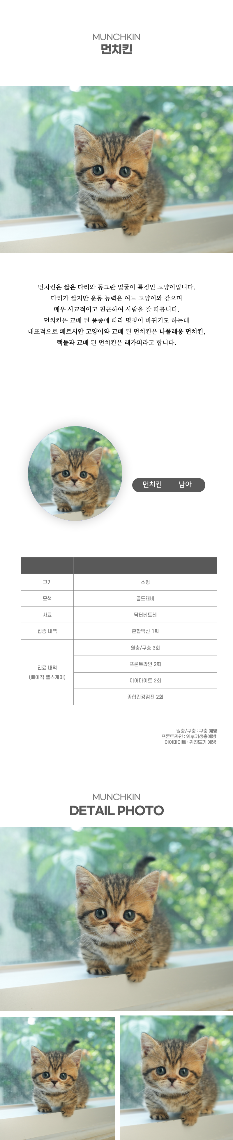 먼치킨_상세이미지_2